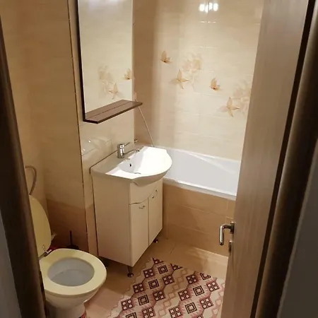 Apartment Apartament Ralu Mamaia